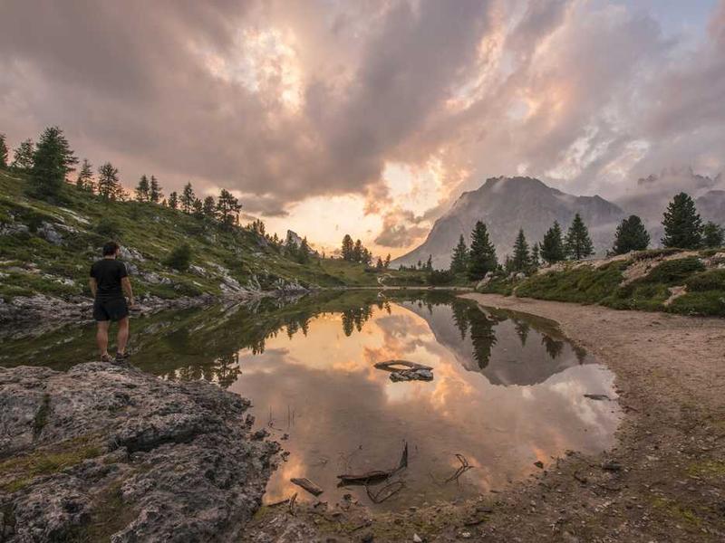Perbedaan Sel Tumbuhan dan Hewan